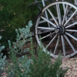 Wagon Wheel, Cave Creek, Arizona,